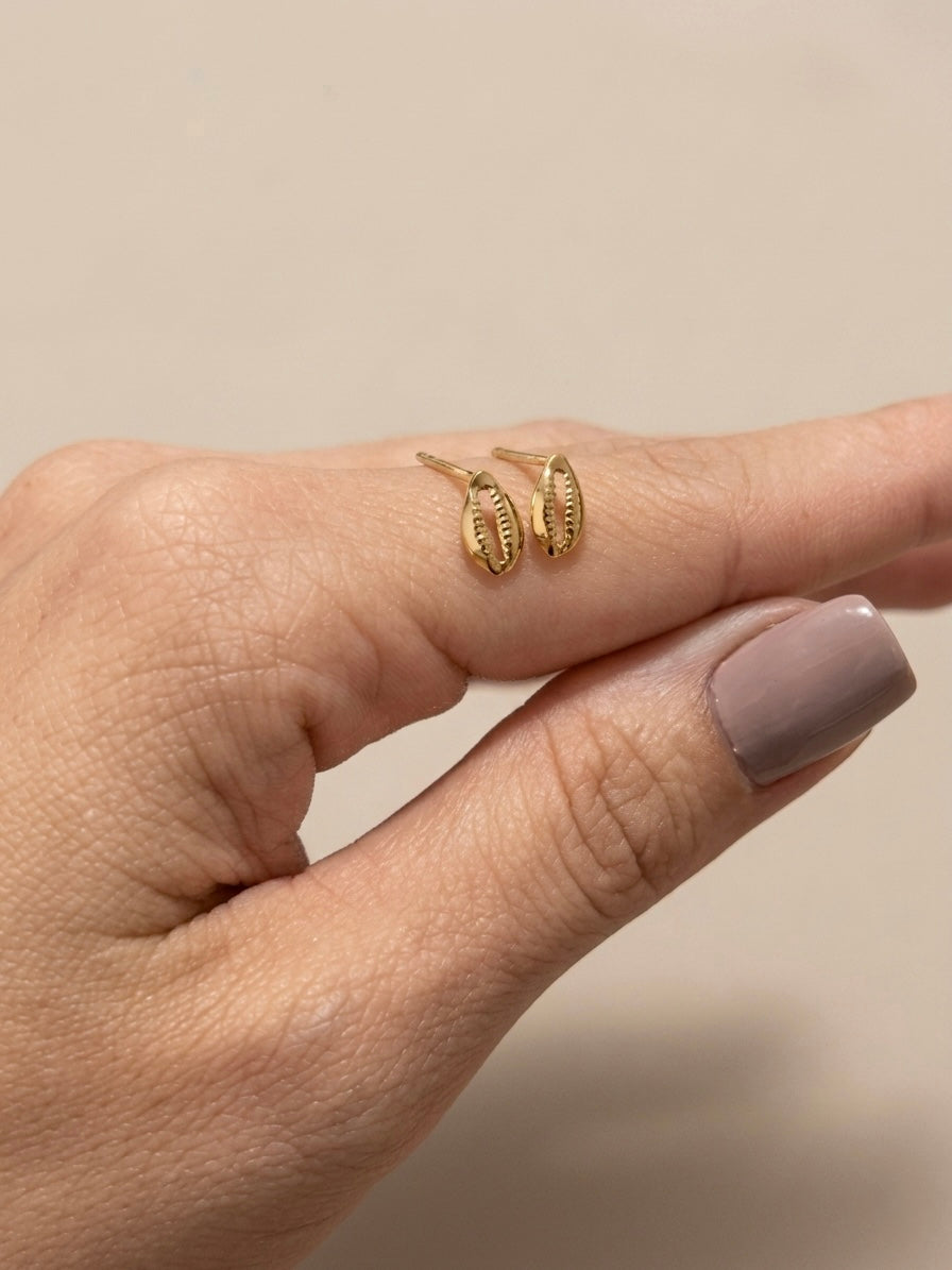 Brinco Concha Minimalista Banhado a Ouro